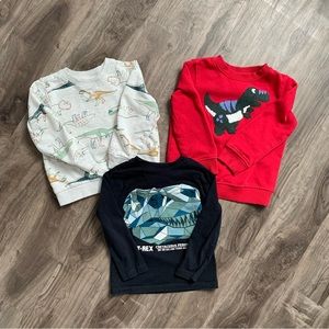 Dinosaur Toddler Boy Bundle Size 4